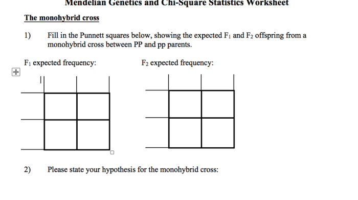 Mendelian genetics probability pedigrees and chi-square statistics